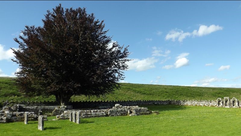 Hermitage Castle Chapel remains