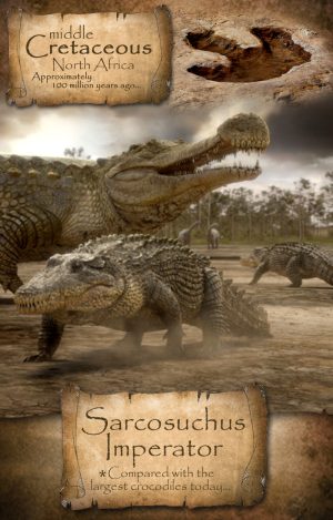 Author's illustration of Sarcosuchus Imperator from Middle Cretaceous North Africa from Extinctanimals.org by an unknown artist © Stephen Llewelyn